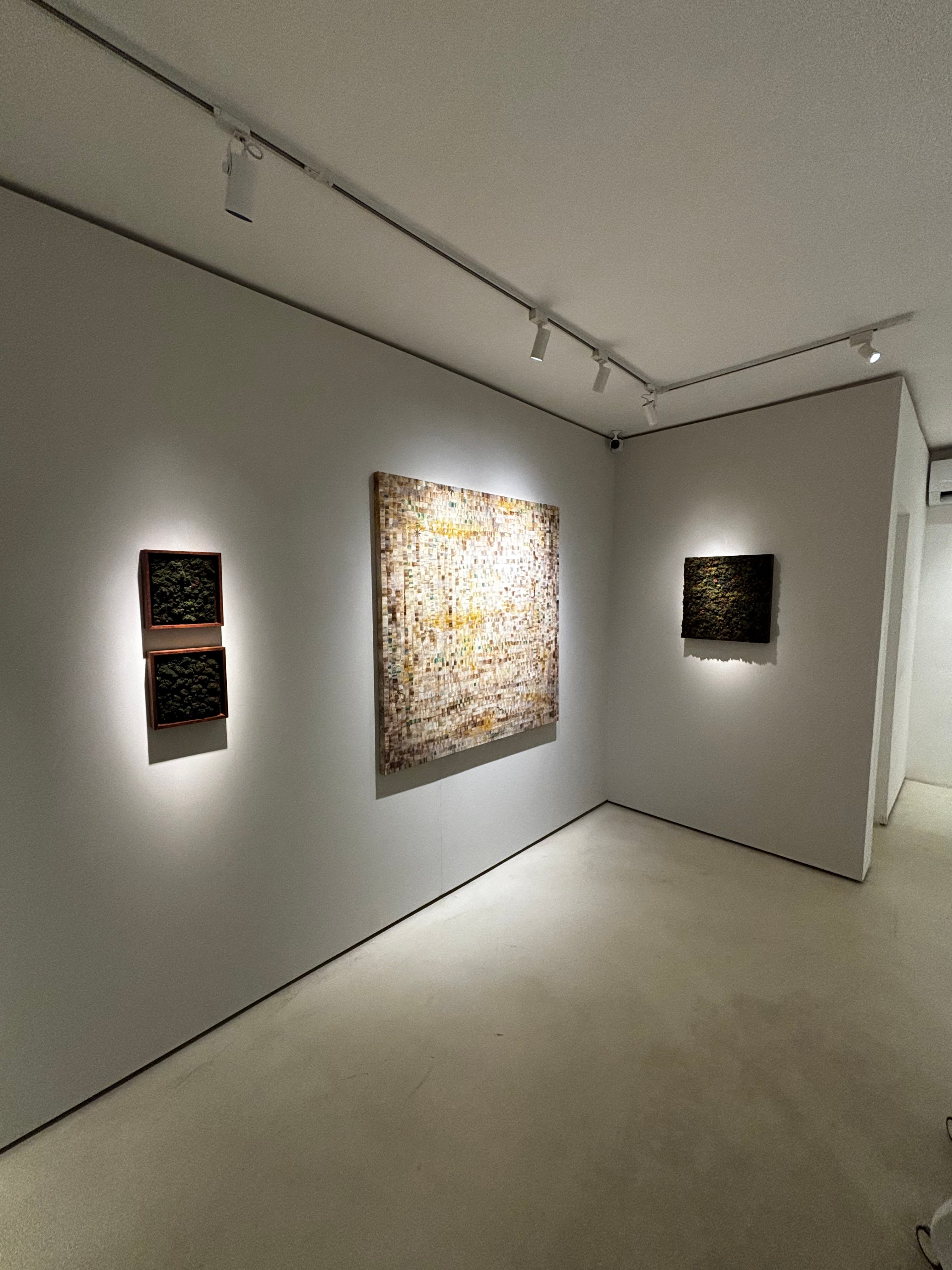 Perspectiva da galeria