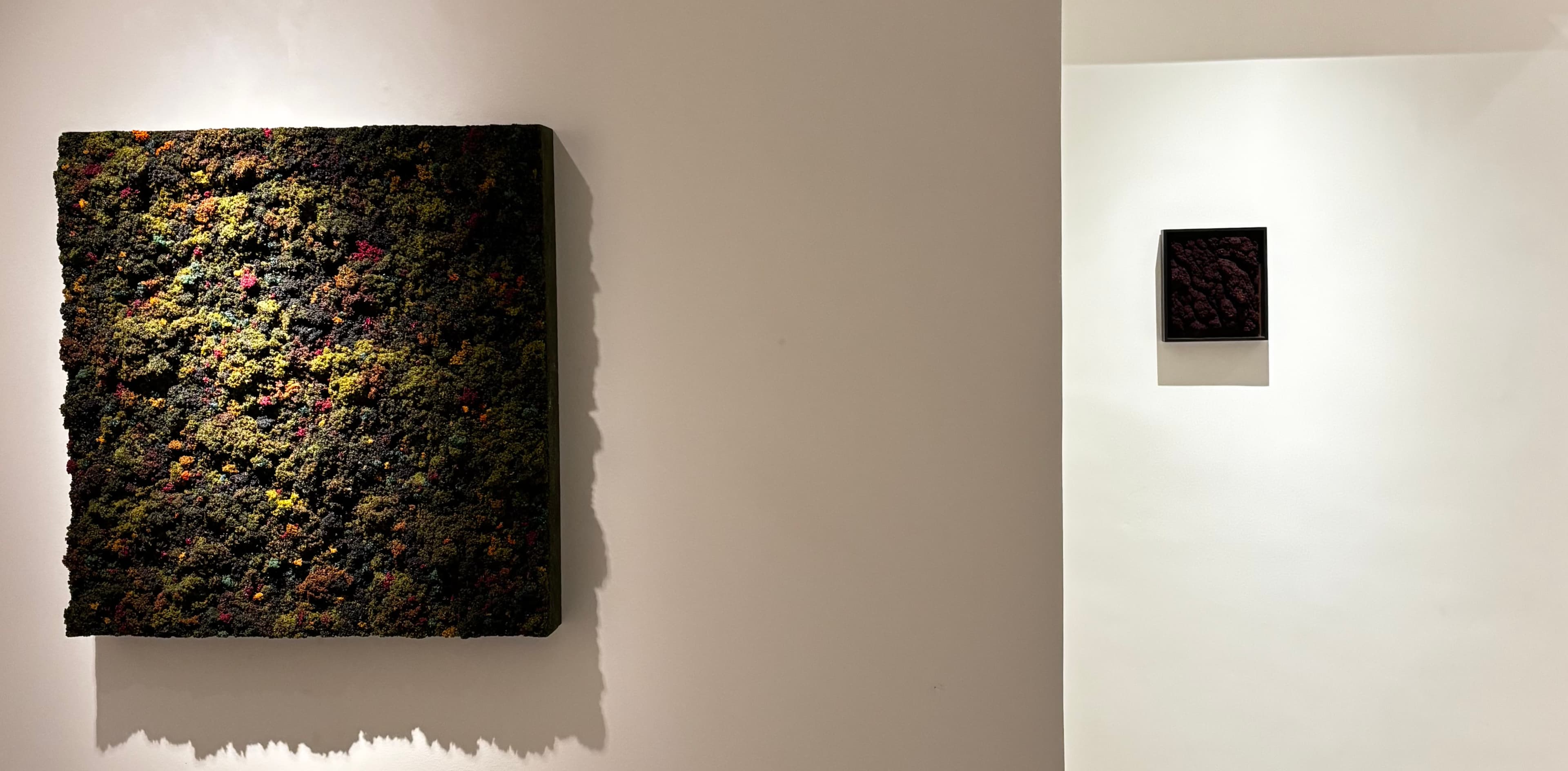 Interação com o público